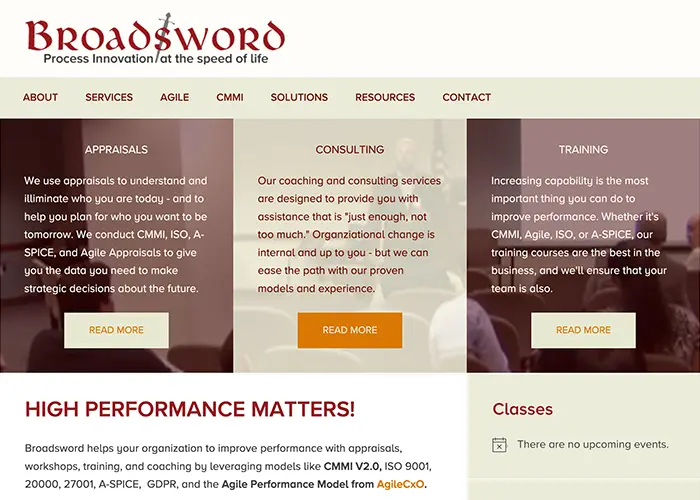Broadsword Solutions website example