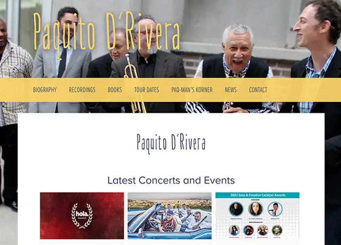 Musician website example